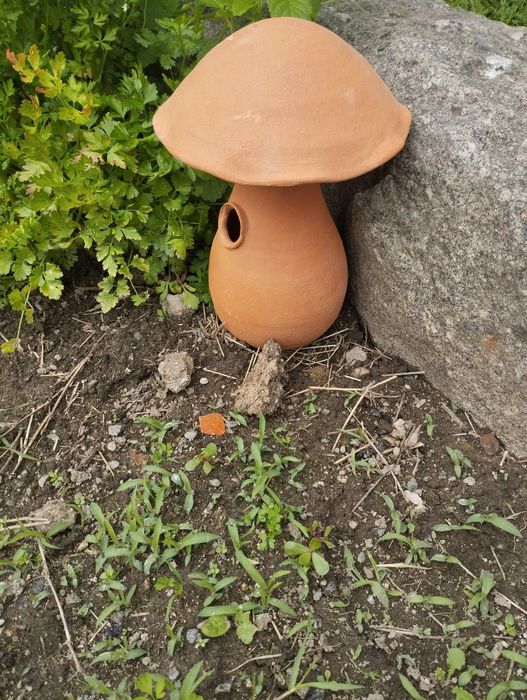 Proteja a sua horta contra caracóis e ratos