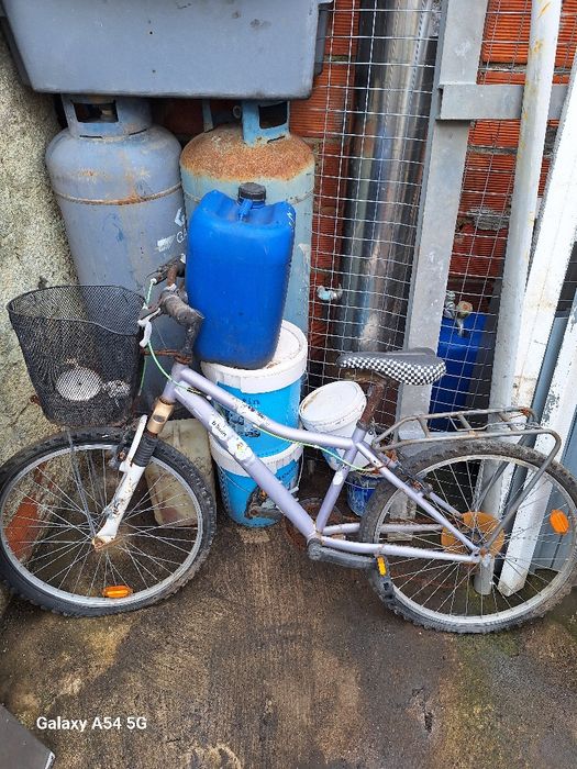 Lote de 6 bicicletas