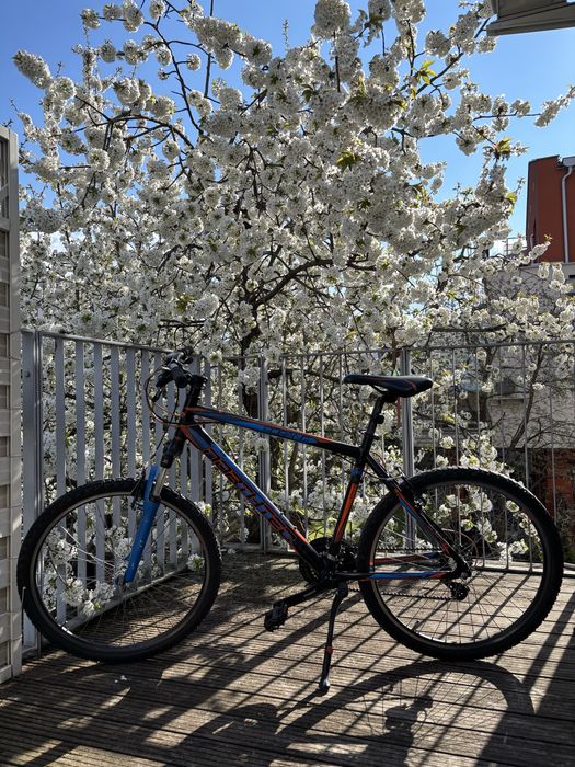 Rower northec sorang 26”