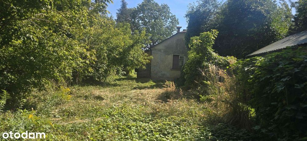 OKAZJA Bezczynszowe mieszkanie w centrum miasta z ogródkiem
