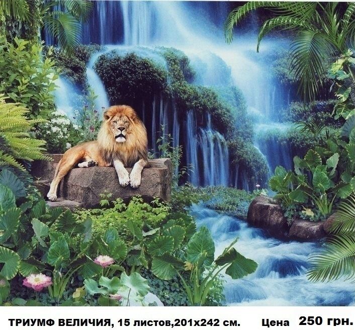 ФОТООБОИ больших размеров. Обои. Фотошпалери.