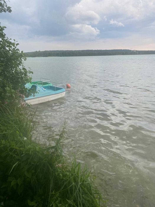 Zdjęcie 6