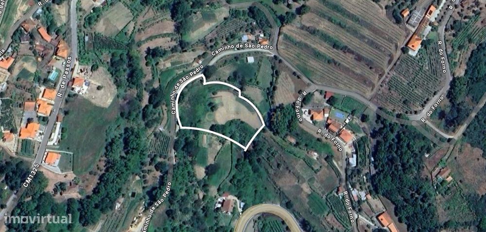 Terreno agrícola com muita água em S. Pedro, de Santa Marinha do Zêzer