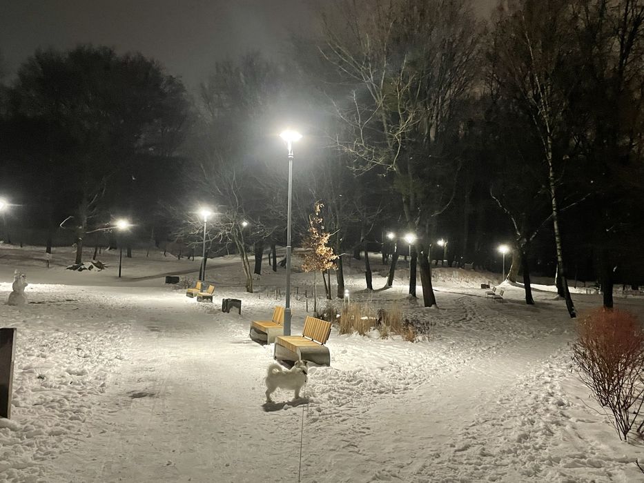 Вигул собак/догляд за собаками