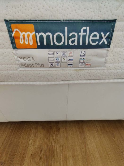 Colchão Molaflex