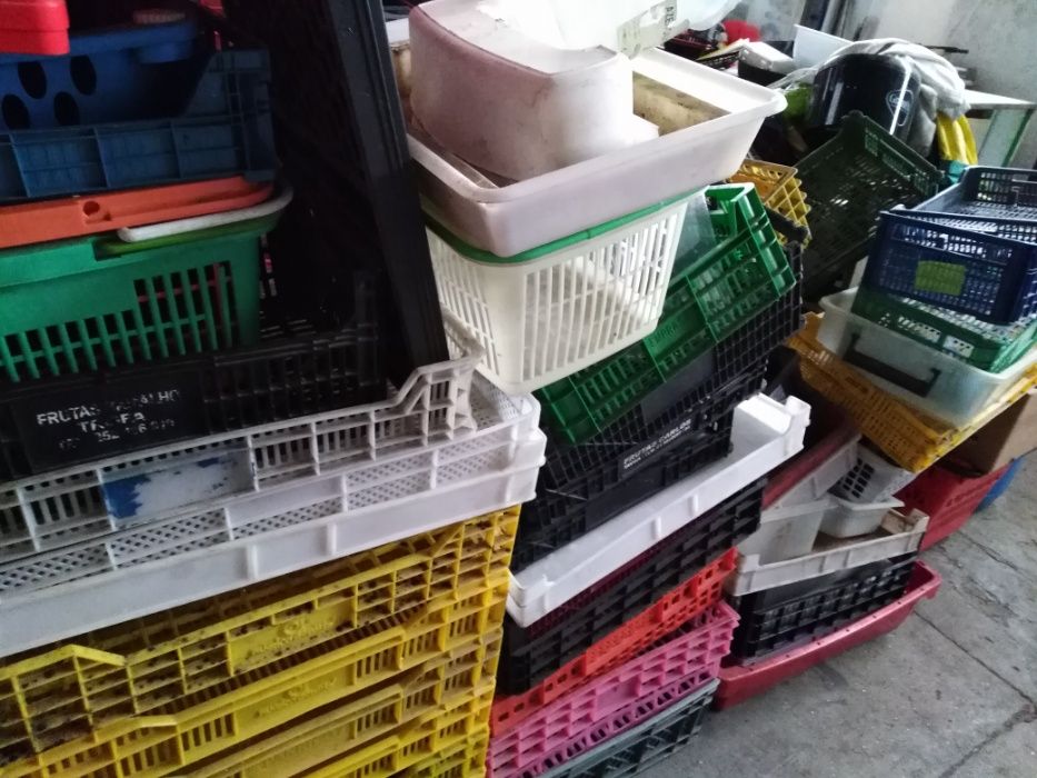 Caixotes em Plástico várias unidades e medidas