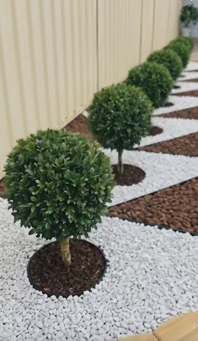 Limpezas se chão, paredes e murros, pintura também e trabalhos de jardinagem