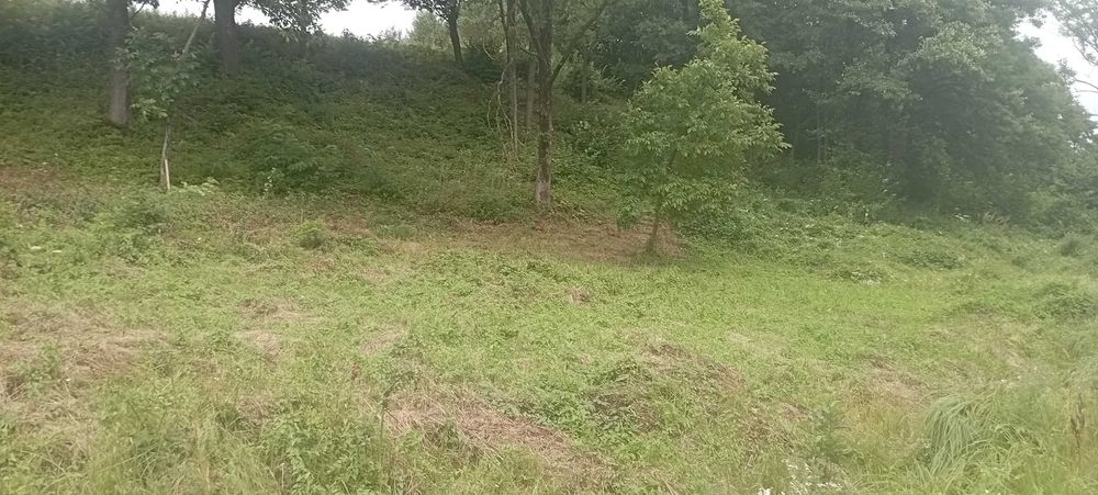 Ціну змінено! Продаємо ділянку у Квітки Полонини Солочин Закарпатськ