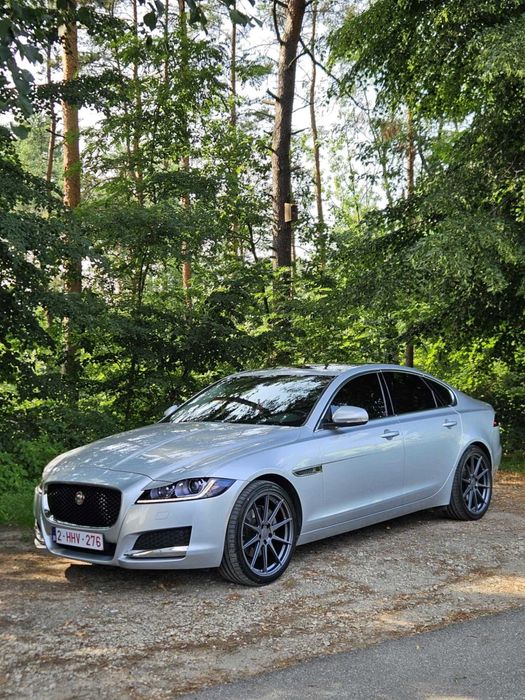 Piękny Jaguar XF x260