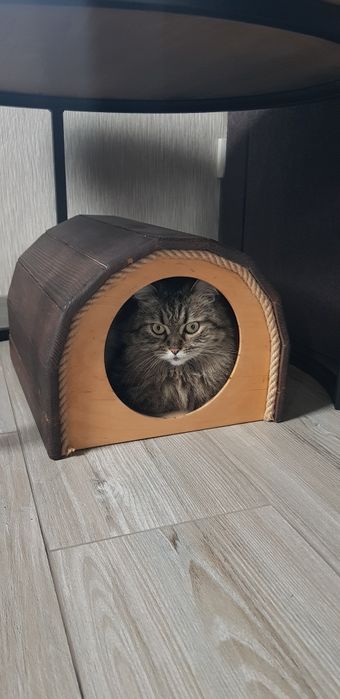 Домик для котика или маленькой собачки