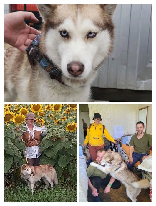 Допоможіть знайти