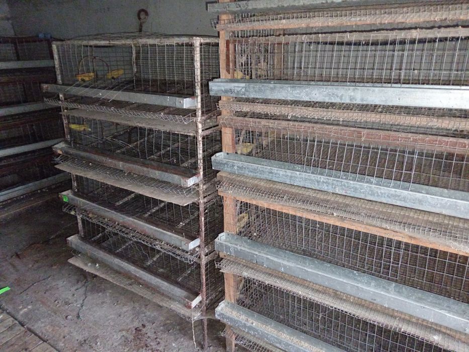 Продам Б/У клетки для перепелов.