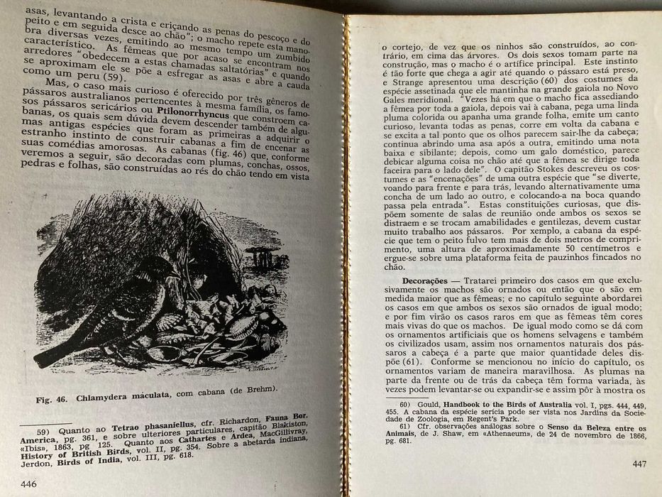 The Descent of Man and Selection in Relation to Sex, by Charles Darwin64730013535361123