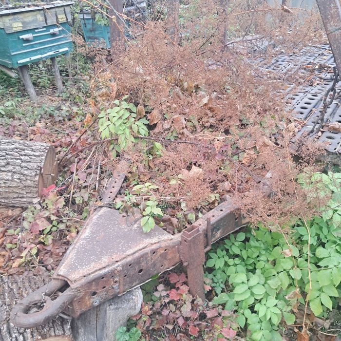 Причіп лісовоз низька платформа