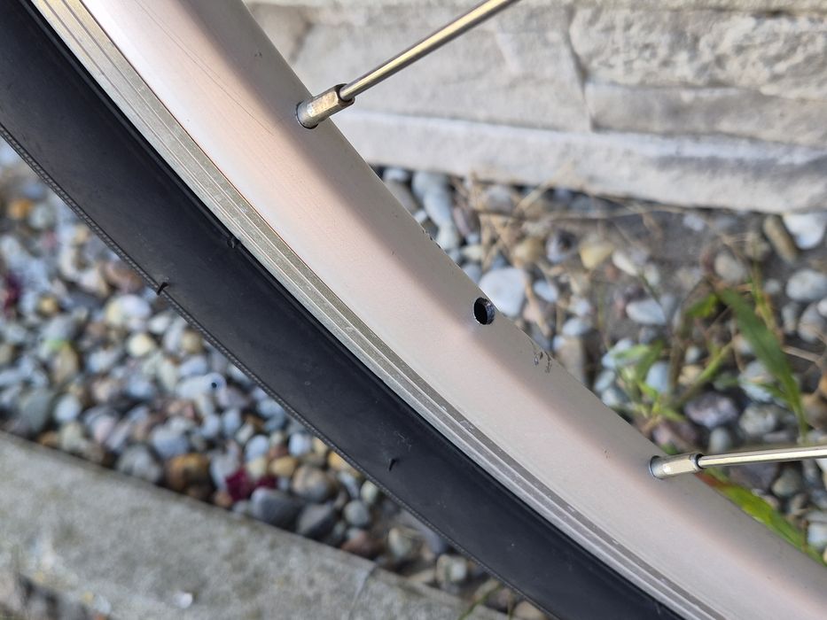 Tylne Koło Rowerowe 28" Shimano Nexus 8 Biegów Sg-C6000-8R Hamulec Rolkowy