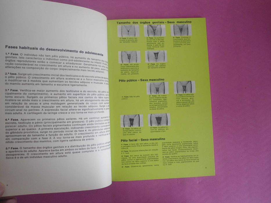 As Crianças são diferentes dos adultos