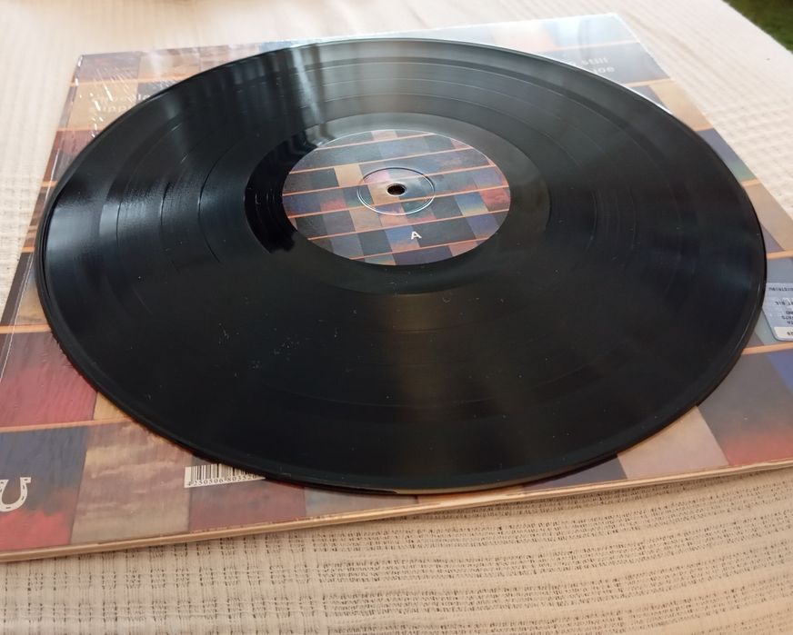 Disco Vinil Tindersticks - The something rain