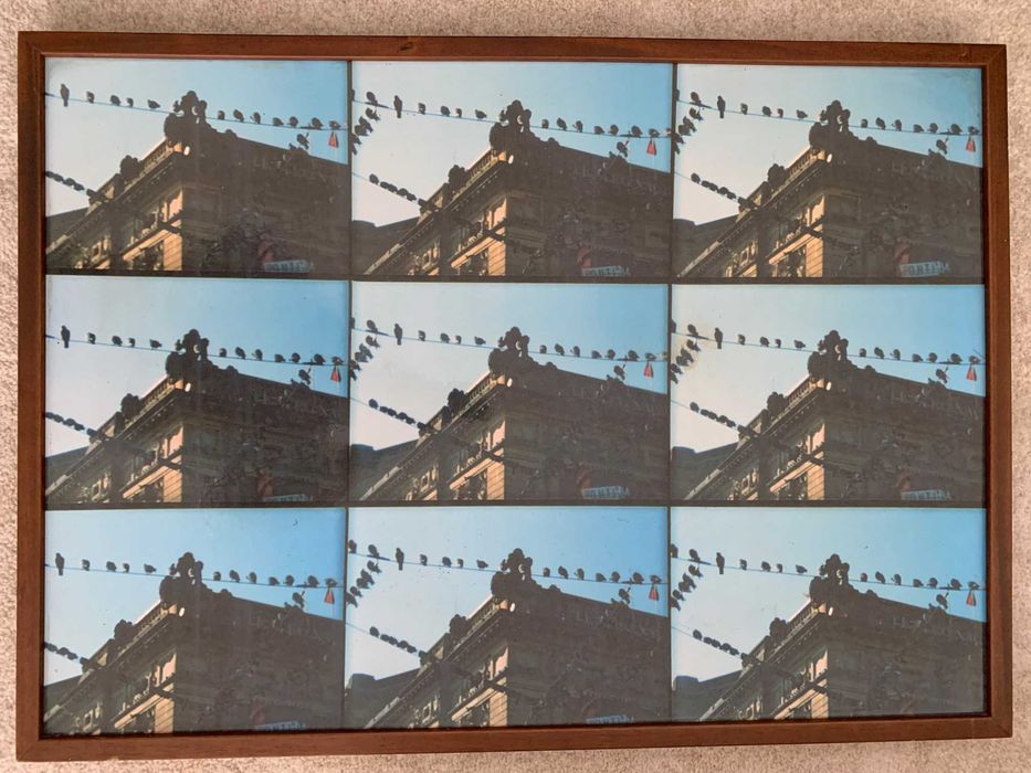 Quadros com moldura 87x62,5