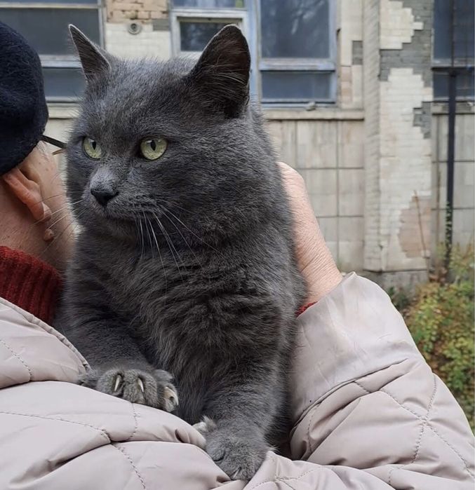 Шукаємо надійних господарів!