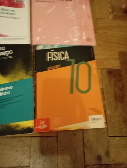 Cadernos de atividades 10°ano