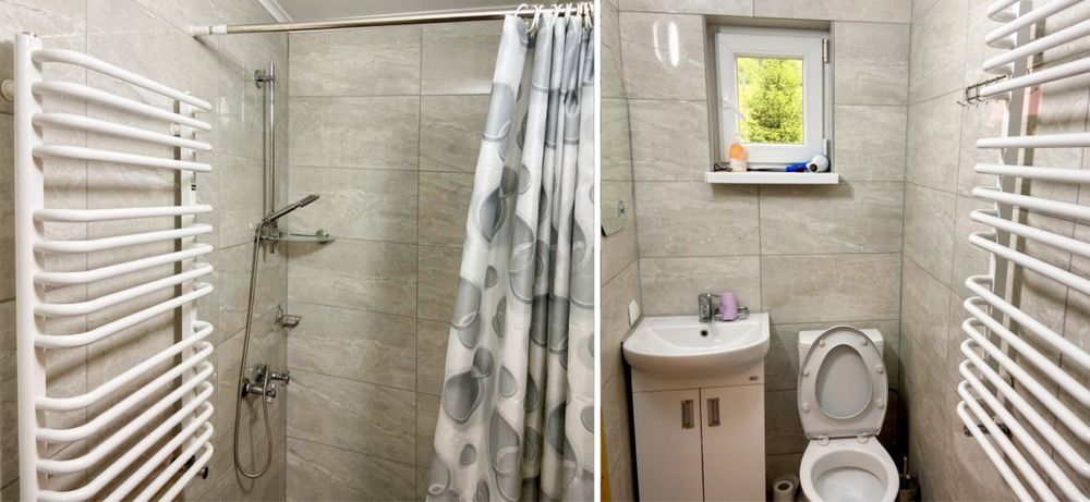 Будинок в Карпатах