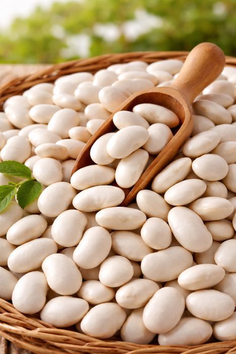 Fasola Jaś sprzedam