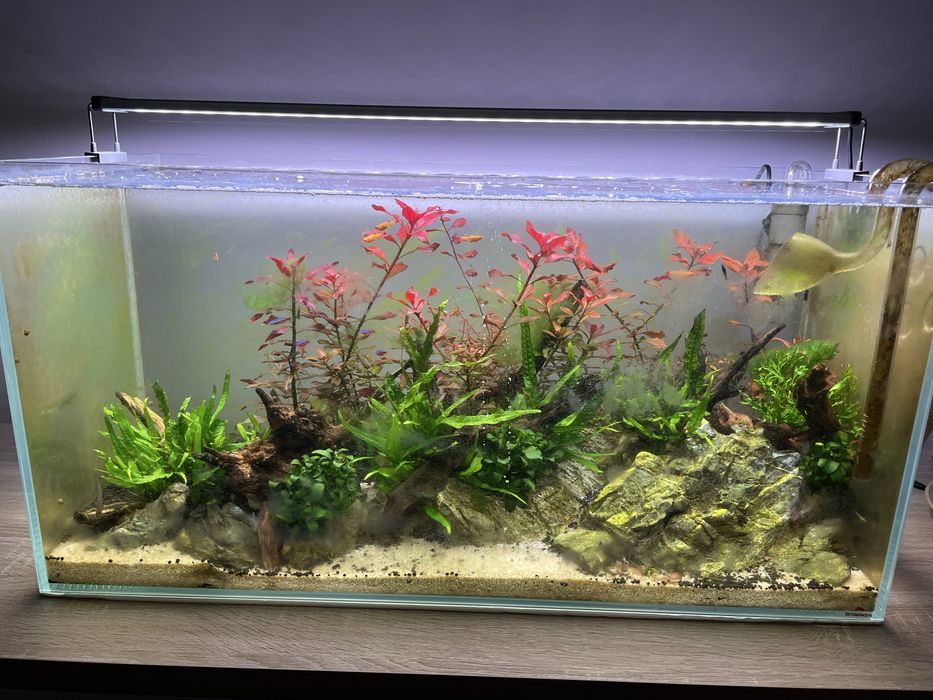 Aquario 80x40x40