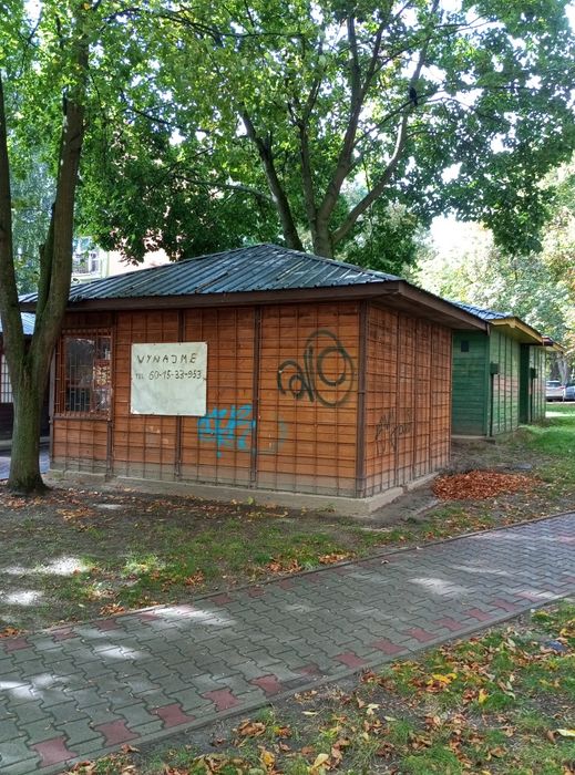 Zdjęcie 3