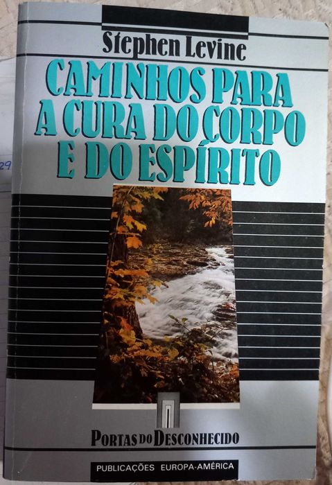 Livros de Stephen Levine