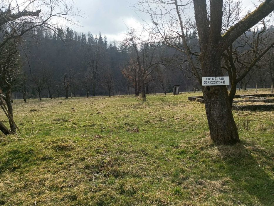 Земельна ділянка