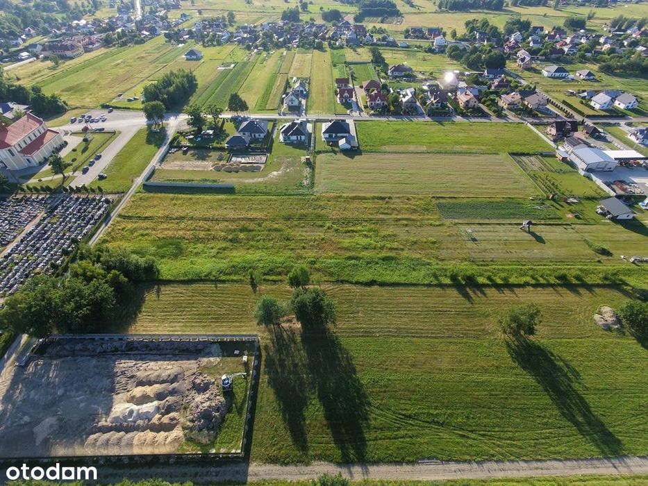 Działka 31 arów + Warunki Zabudowy - Trzeboś - Widok 5
