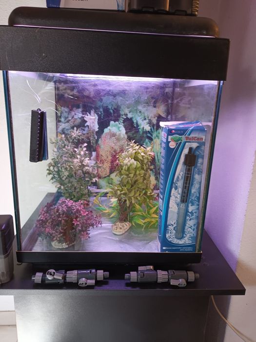 2 aquários com acessórios