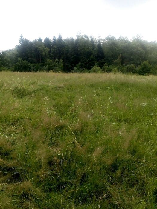 Продам земельну ділянку