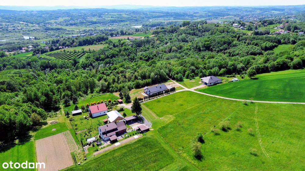 Działka 50,55 ar z WZ na dom | Siedliska Sławęcińskie - Widok 3