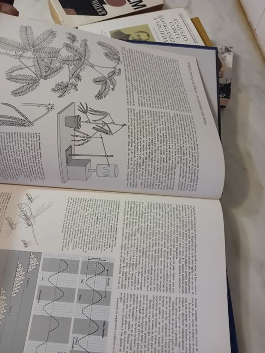 Livro Enciclopédico Ritmos da Vida