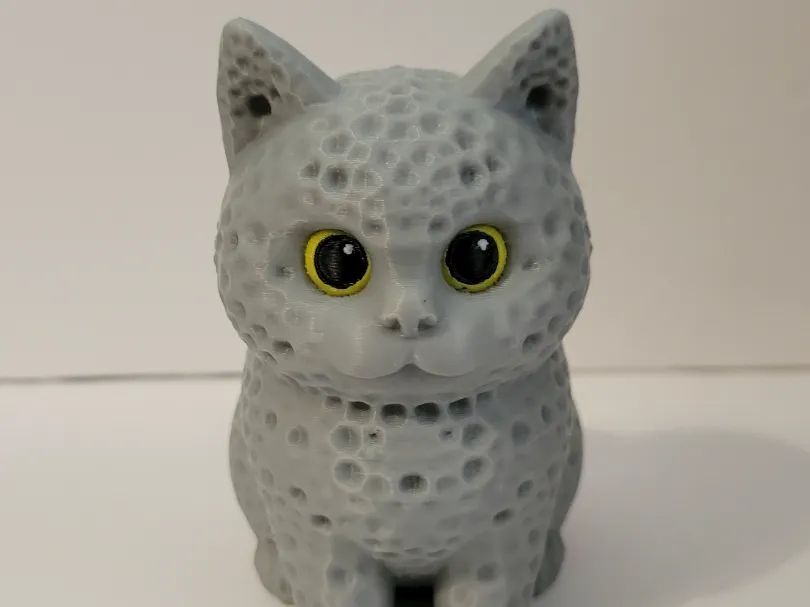 Gato Fofo Texturado a Esponja