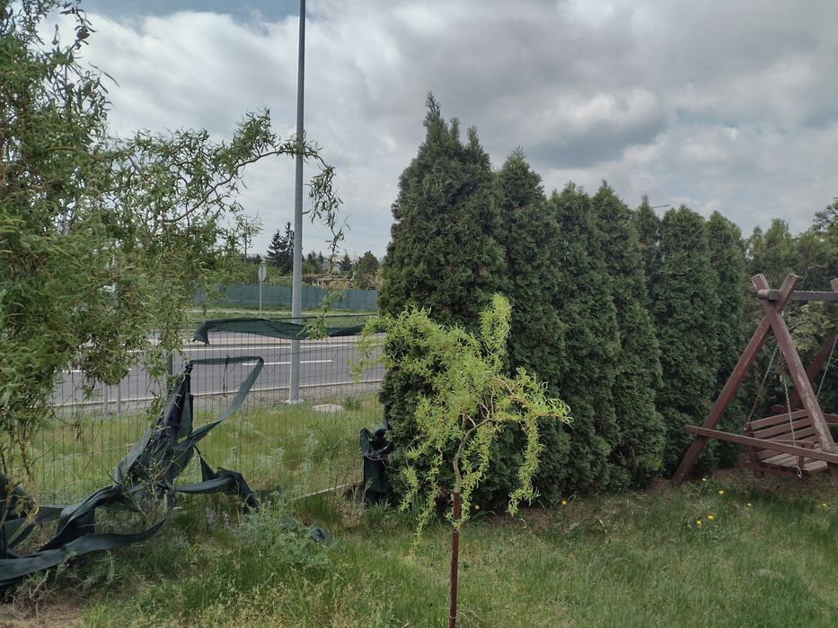 Działka ROD Kolejarz