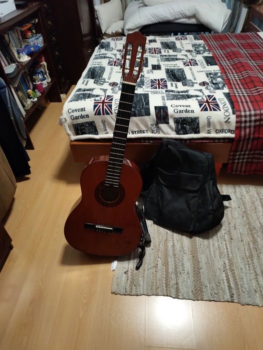 Viola stagg em bom estado