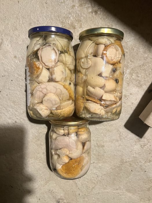 Сушений карпатський гриб, маримух