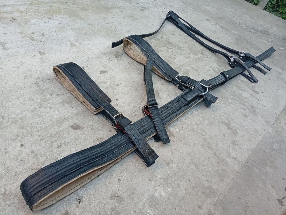 Підшора (наритник) упряж для коней