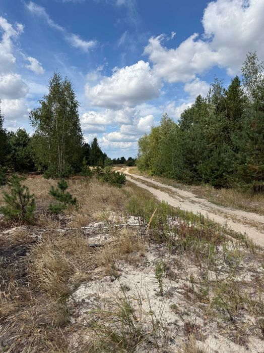 15 ділянок по 2га під бізнес поряд Варшавської траси без %