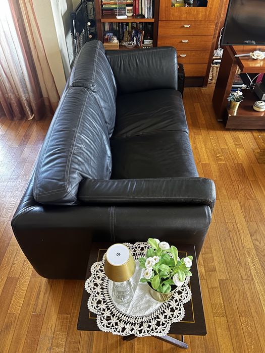 Sofas de pele conjunto