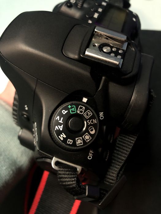 Canon 80D + CANON EFS 18-55mm f/3.5-5.6 + Canon EF 50mm f/1.8