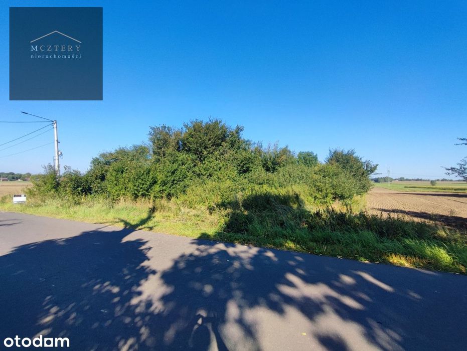 Sprzedam dużą działkę pod siedlisko lub dom/3998 m² - Widok 3