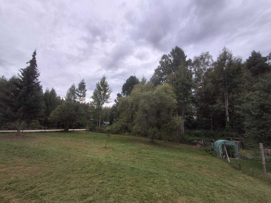 Działka nad rzeką Pilicą(budowlana)Ostrów gm. Aleksandrów - Widok 5