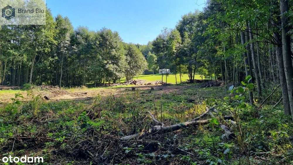 Działka budowlana 1000m² las, góry