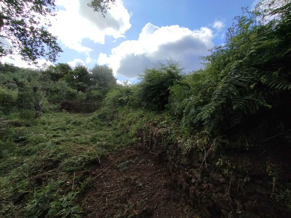 Limpeza de terreno com roçadora
