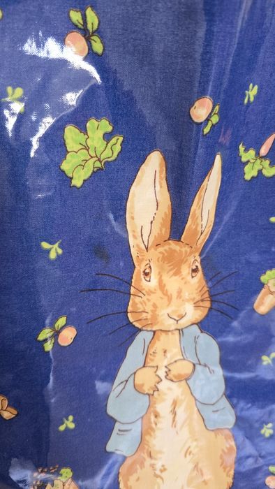 Avental Infantil Peter Rabbit (Pedrito Coelho) Azul