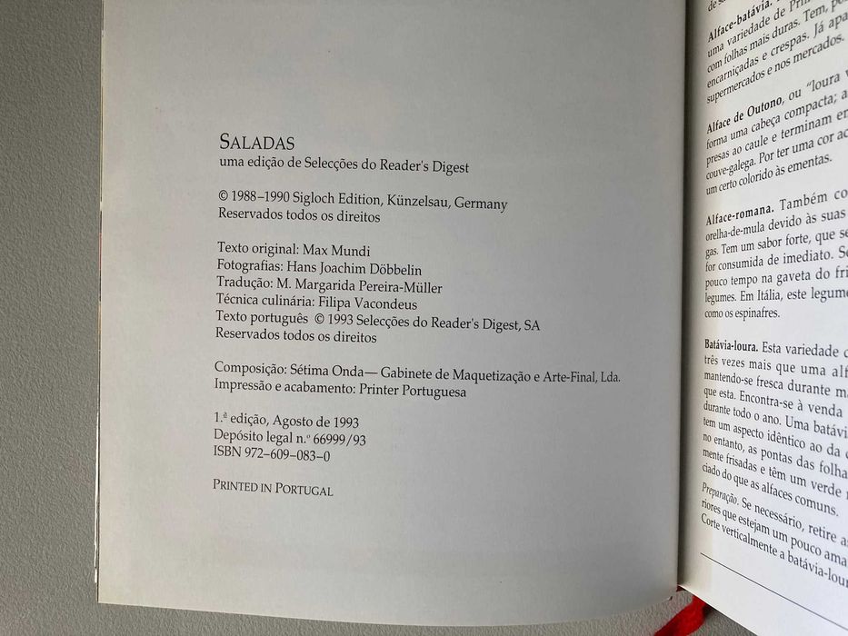 Um Mundo de Sabores: Saladas