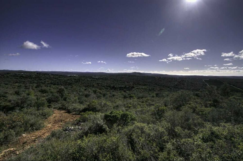 Terreno rústico com 17 há Algarve